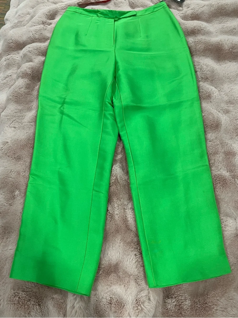 NWT* GRACE Silk Dress Pants*Fully Lined *Zipper*Reef Green Tapered Leg*Size 4